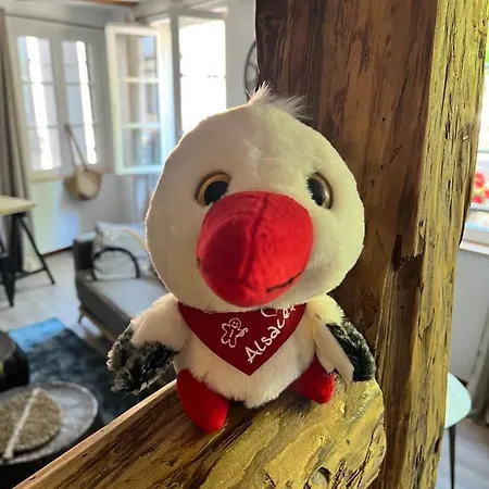 Le Schdorky Apartmán *